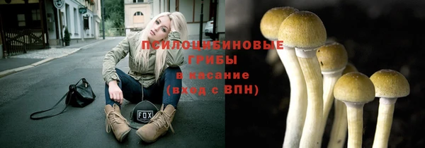 МДПВ Остров