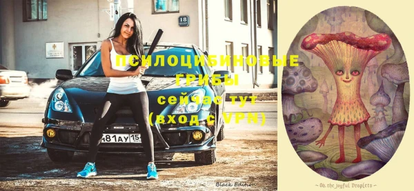 соль курить ск Осинники
