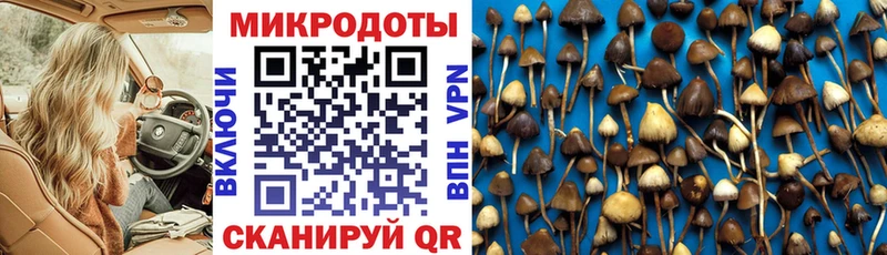 Псилоцибиновые грибы GOLDEN TEACHER  купить наркоту  Тайга 